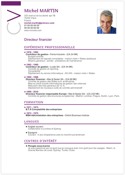 Featured image of post Exemple De Cv Professionnel Exemples d objectifs de carri re dans un cv